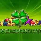 40 Burning Hot
